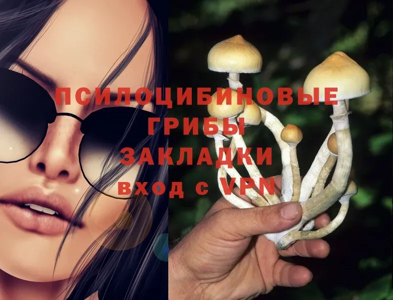 Галлюциногенные грибы MAGIC MUSHROOMS  Грайворон 